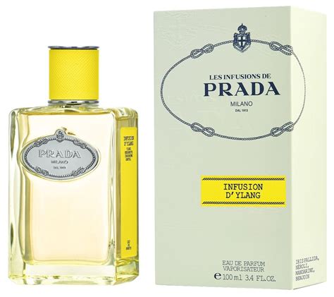 parfum prada sandalwood|prada infusion d'ylang.